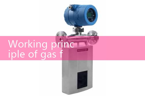 Working principle of gas flowmeter